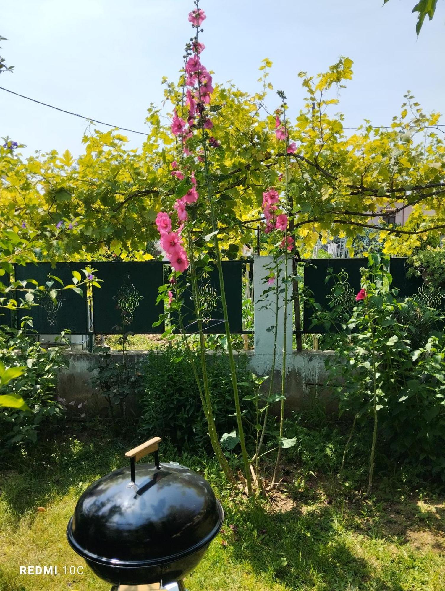 Holiday Home In Chalkidiki, Lakkoma Kültér fotó
