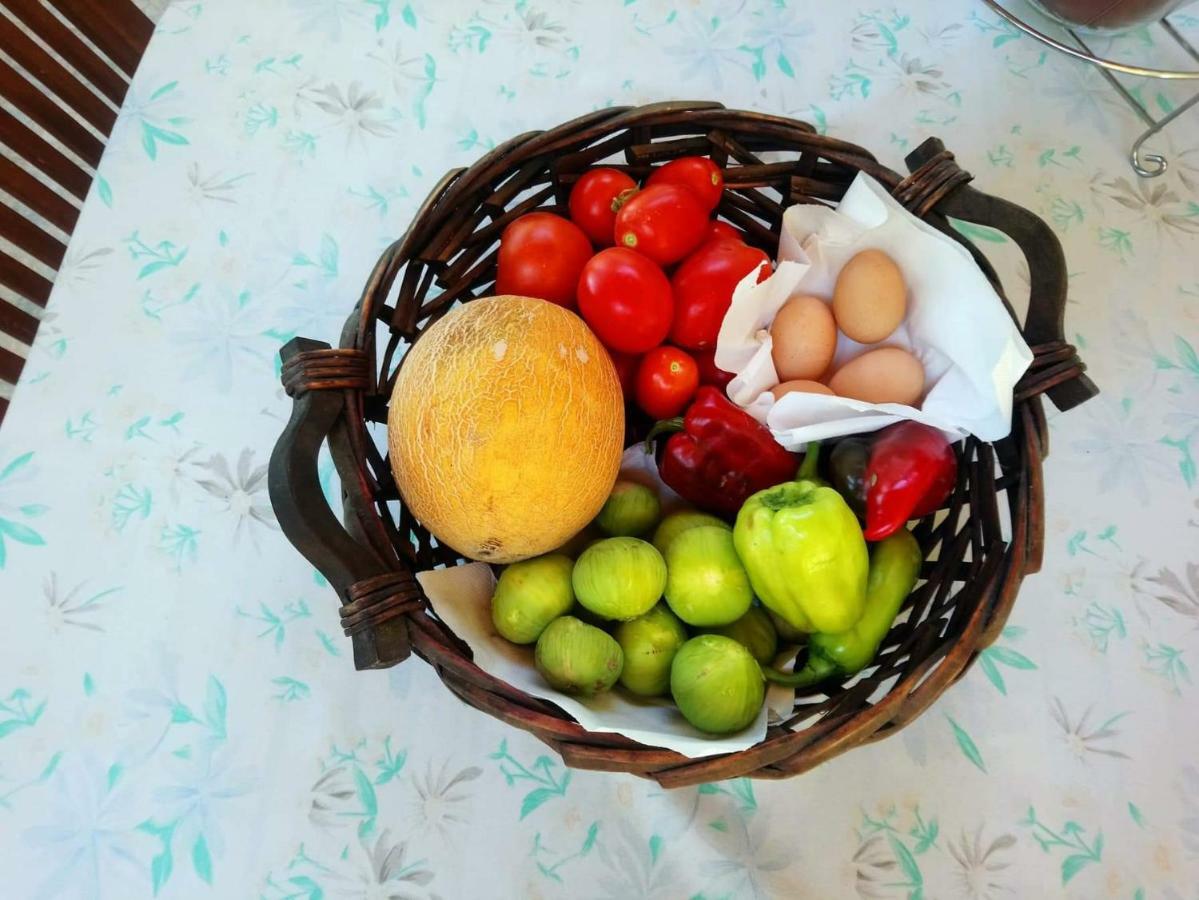 Holiday Home In Chalkidiki, Lakkoma Kültér fotó