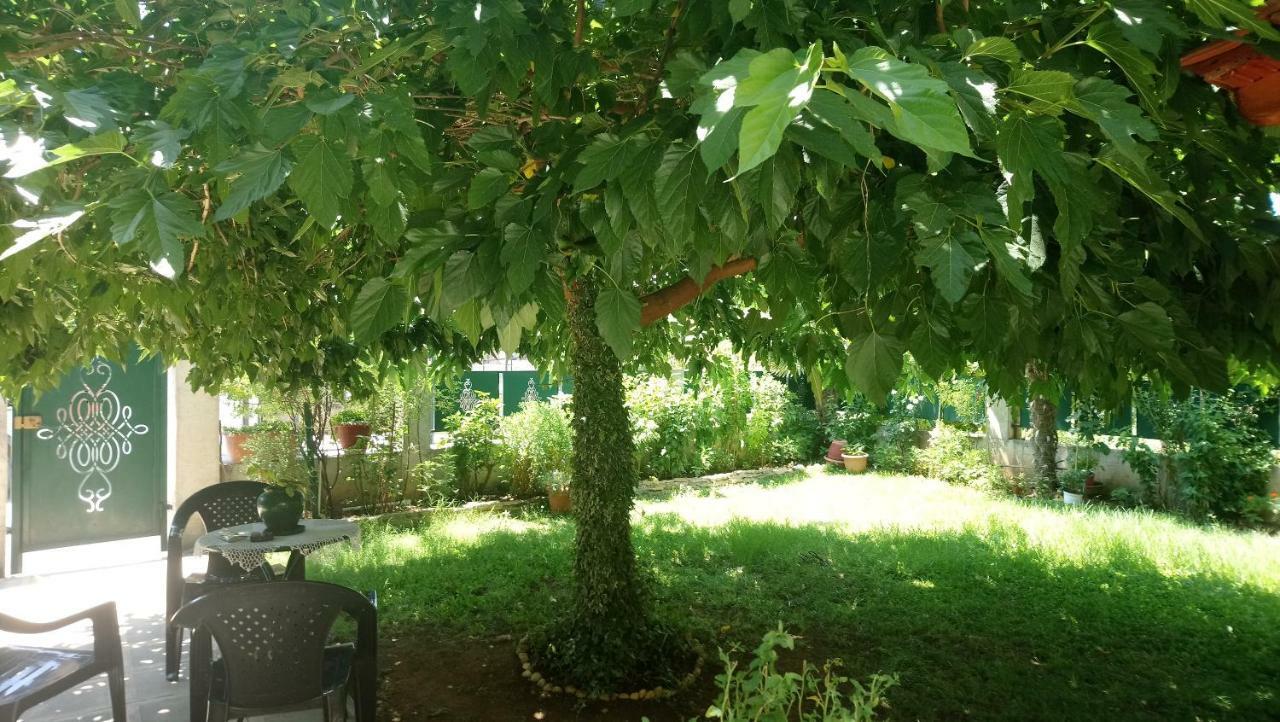 Holiday Home In Chalkidiki, Lakkoma Kültér fotó